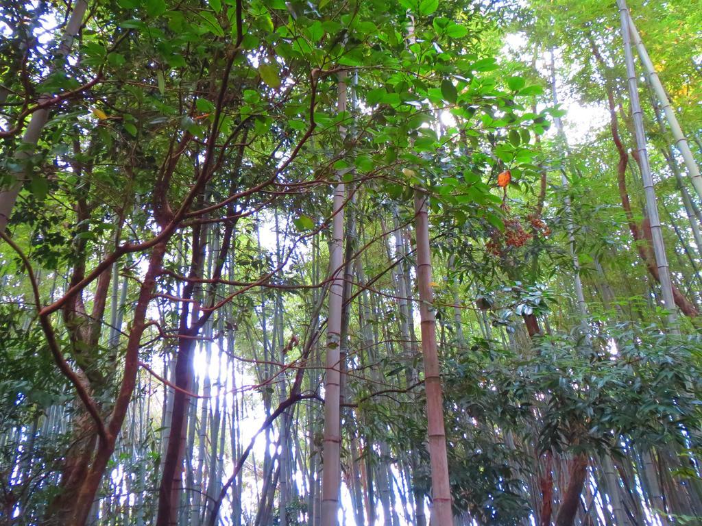 紫野ゲストハウス 京都市 エクステリア 写真