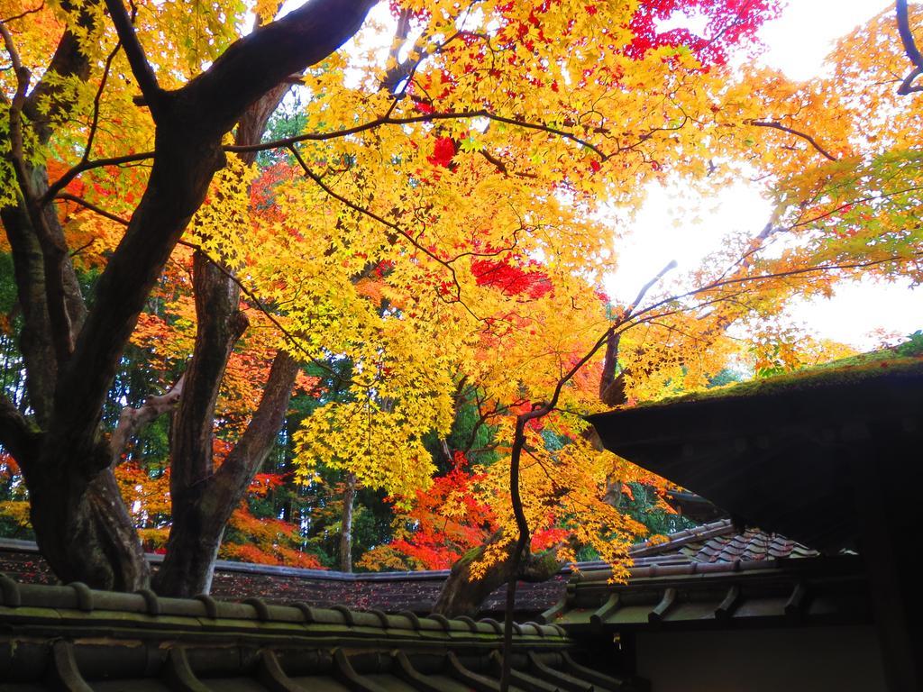 紫野ゲストハウス 京都市 エクステリア 写真