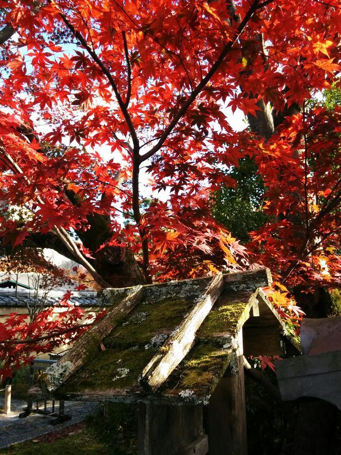 紫野ゲストハウス 京都市 エクステリア 写真
